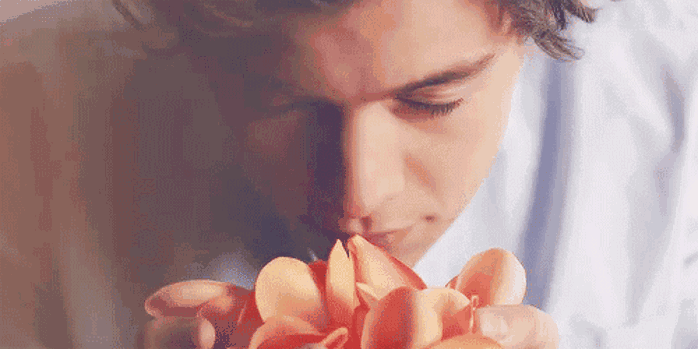 1495765001.gif