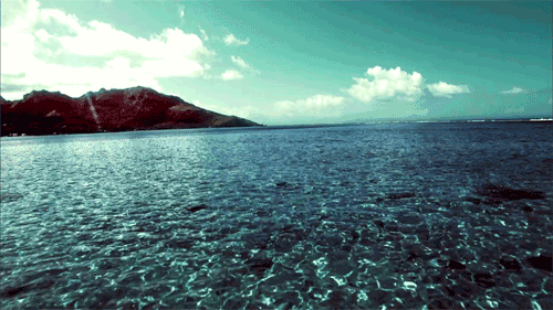 1496900521.gif