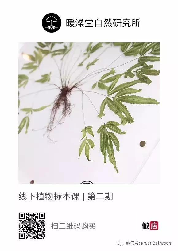 1502075109.jpg