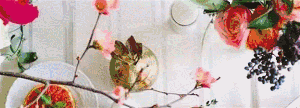 1518161669.gif