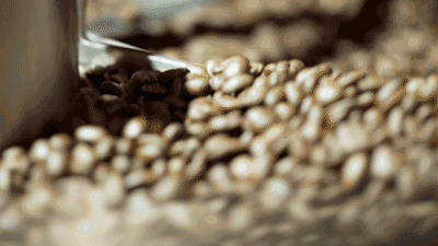 1526611824.gif