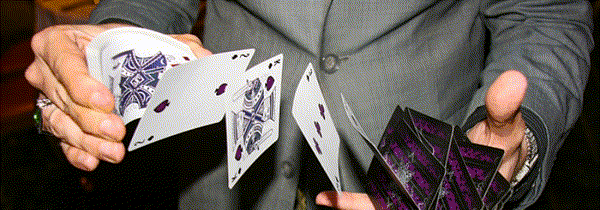 4.gif
