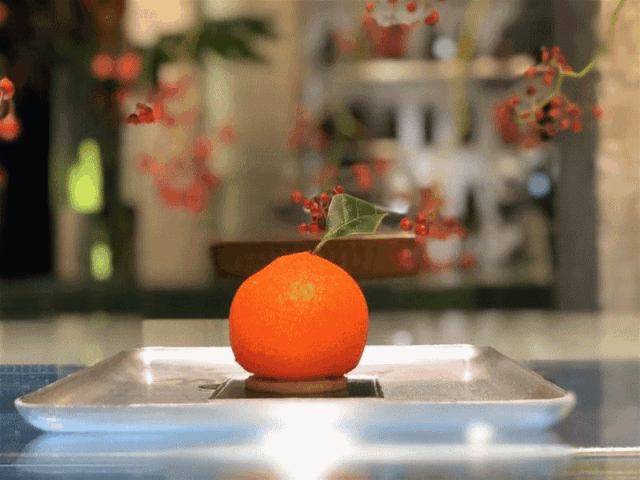 6.gif